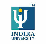 IU Pune logo